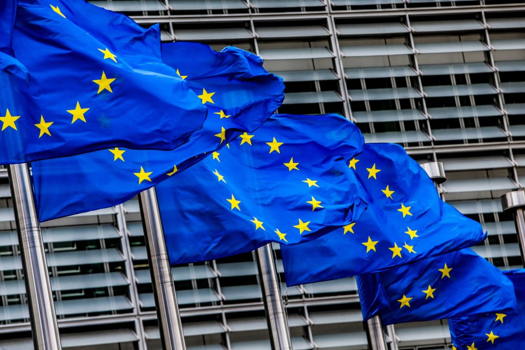 European Elections: Decision on Voting Procedures Expected in December