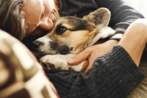 What Dogs Can Teach Us About Love and Grief