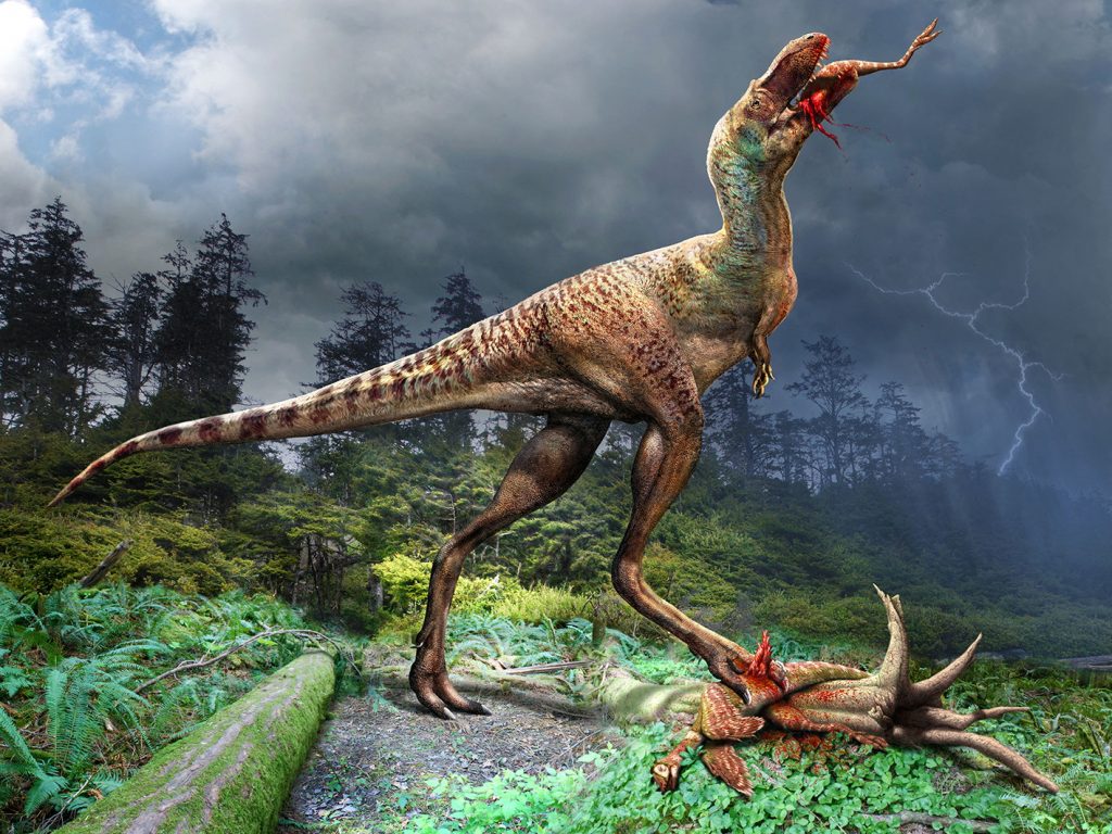Tyrannosaur Discovered With Last Meal Preserved in Its Stomach