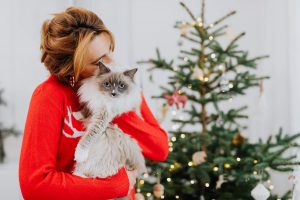 What to Not Feed Your Cat This Christmas