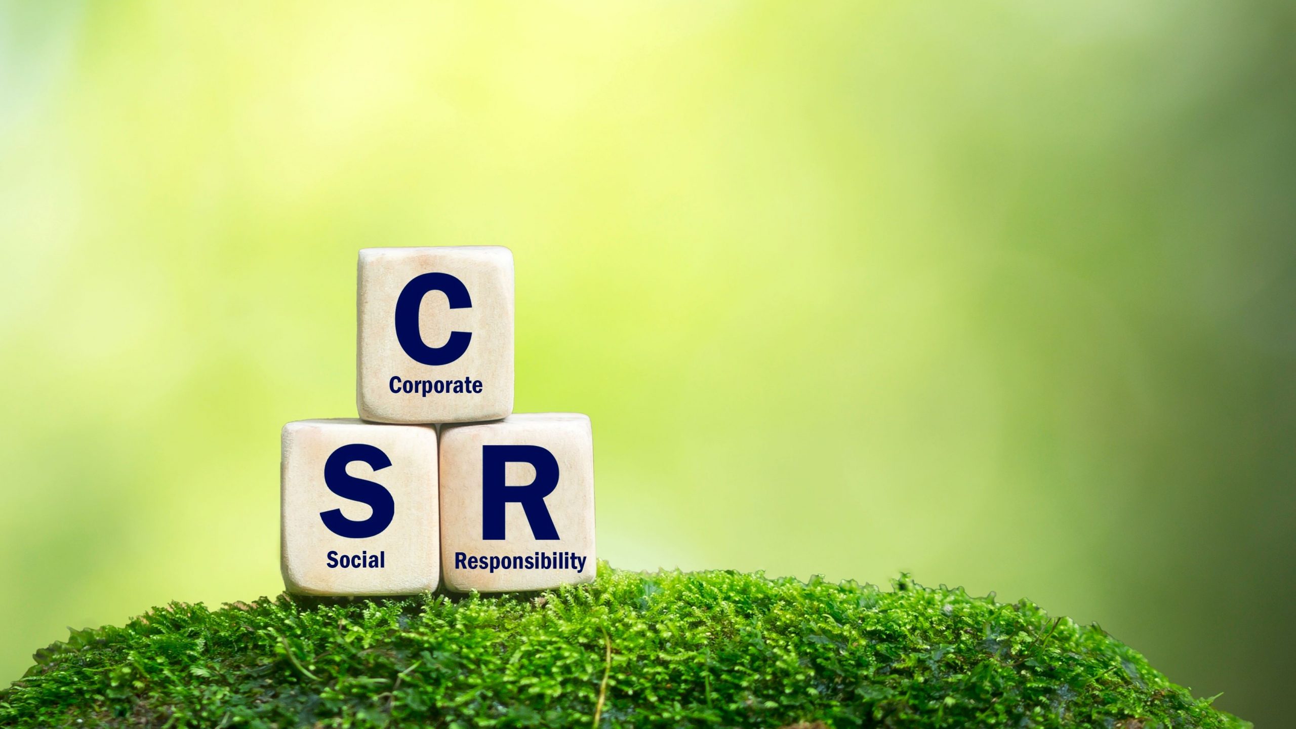 Corporate Sustainability Reporting Requirement Kicks in From 2024