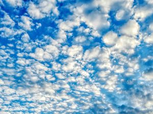 Weather Forecast: December 22nd