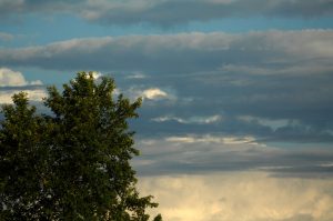 Weather Forecast: December 29th