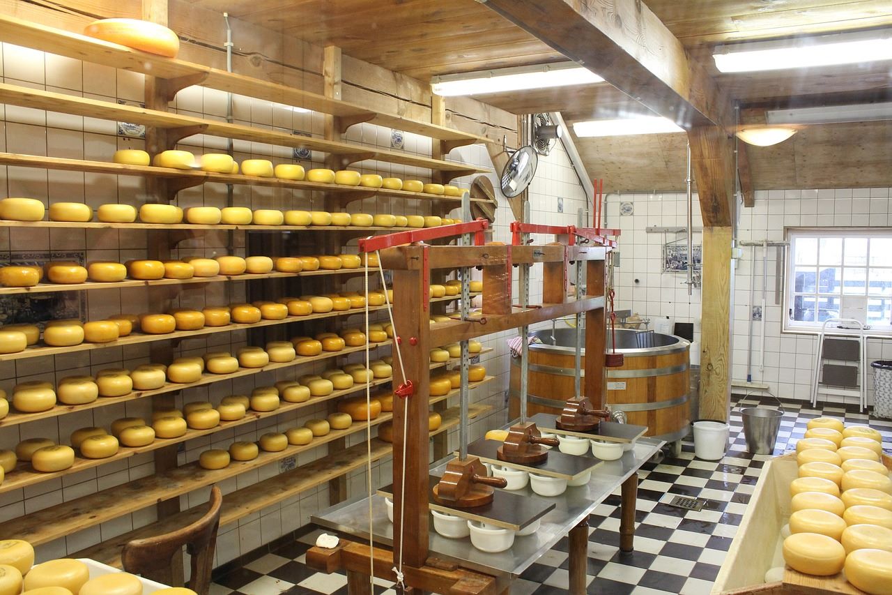 Greece: Criteria for ‘Accessible Cheese Dairies’