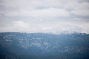 Weather Forecast: January 15th