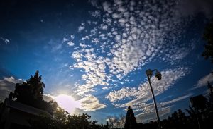 Weather Forecast: January 24th