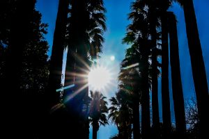 Weather Forecast: January 26th