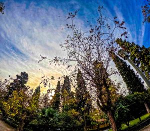 Weather Alert For Sunday