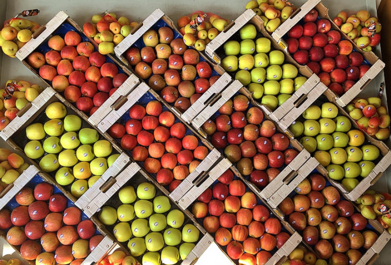 Greece’s Zagorin Apple Harvest Down 30% on Climate Change