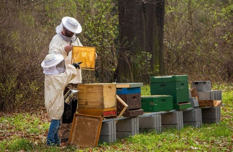 Protesting Greek Beekeepers to Rally in Central Athens on Thur.