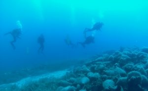 Organized Dives off Alonnisos, Western Pagasetic Shipwrecks for First Time