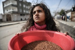The Vicious Cycle Driving Gaza’s North to Famine
