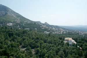 Amendments in Omnibus Bill to Address Water Management and Forest Fires in Greece
