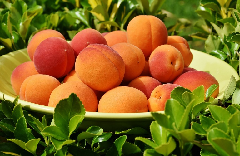Europeche: Greek Apricot Production Recovers