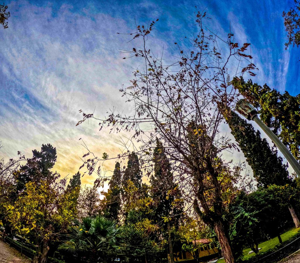 A Sunny Start to the Week