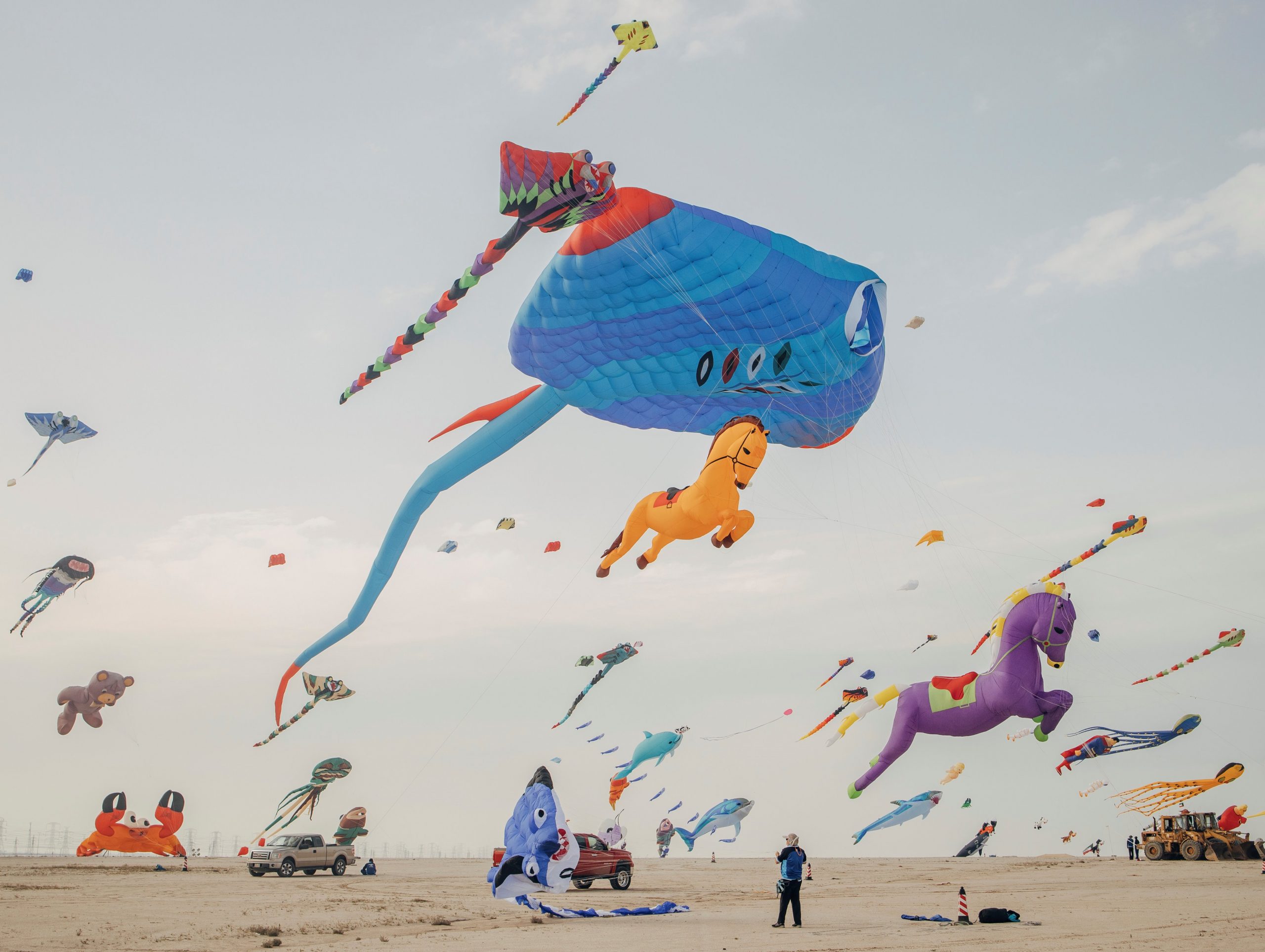 Athens Photo Festival 2024 Opens June 6 at Benaki Museum