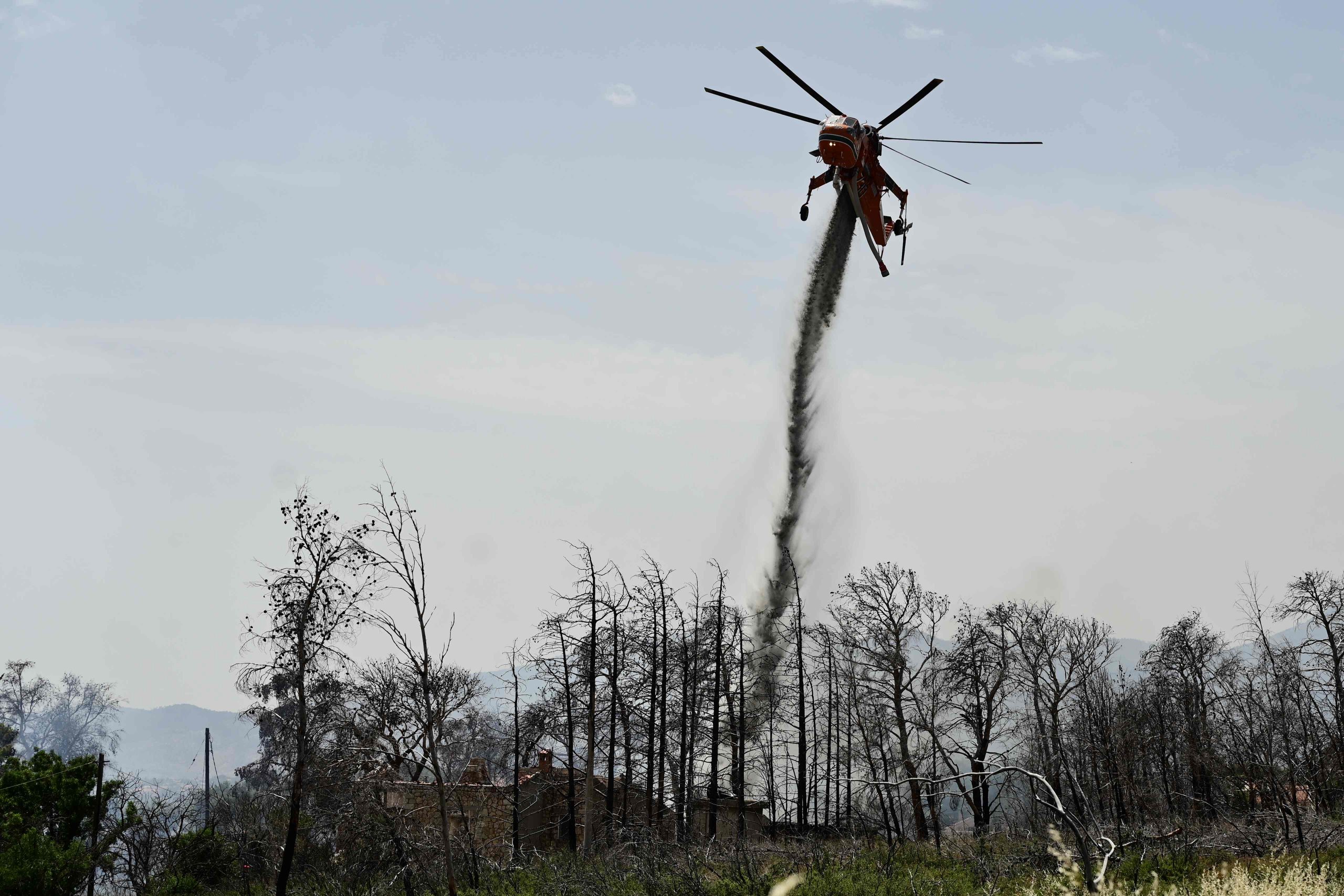 Forced Landing For Small Fire-Fighting Plane; Pilot Unhurt