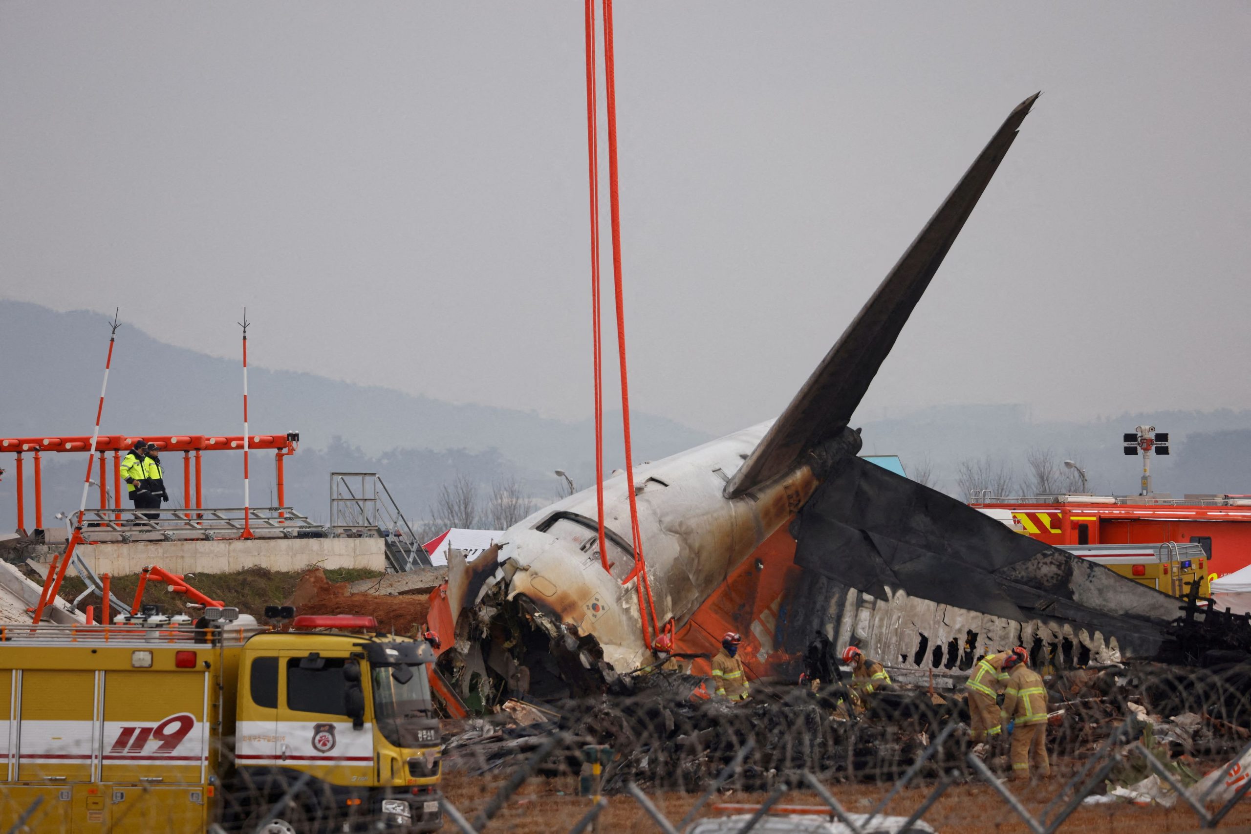 Investigators Confirm Bird Strike in Deadly Jeju Air Crash