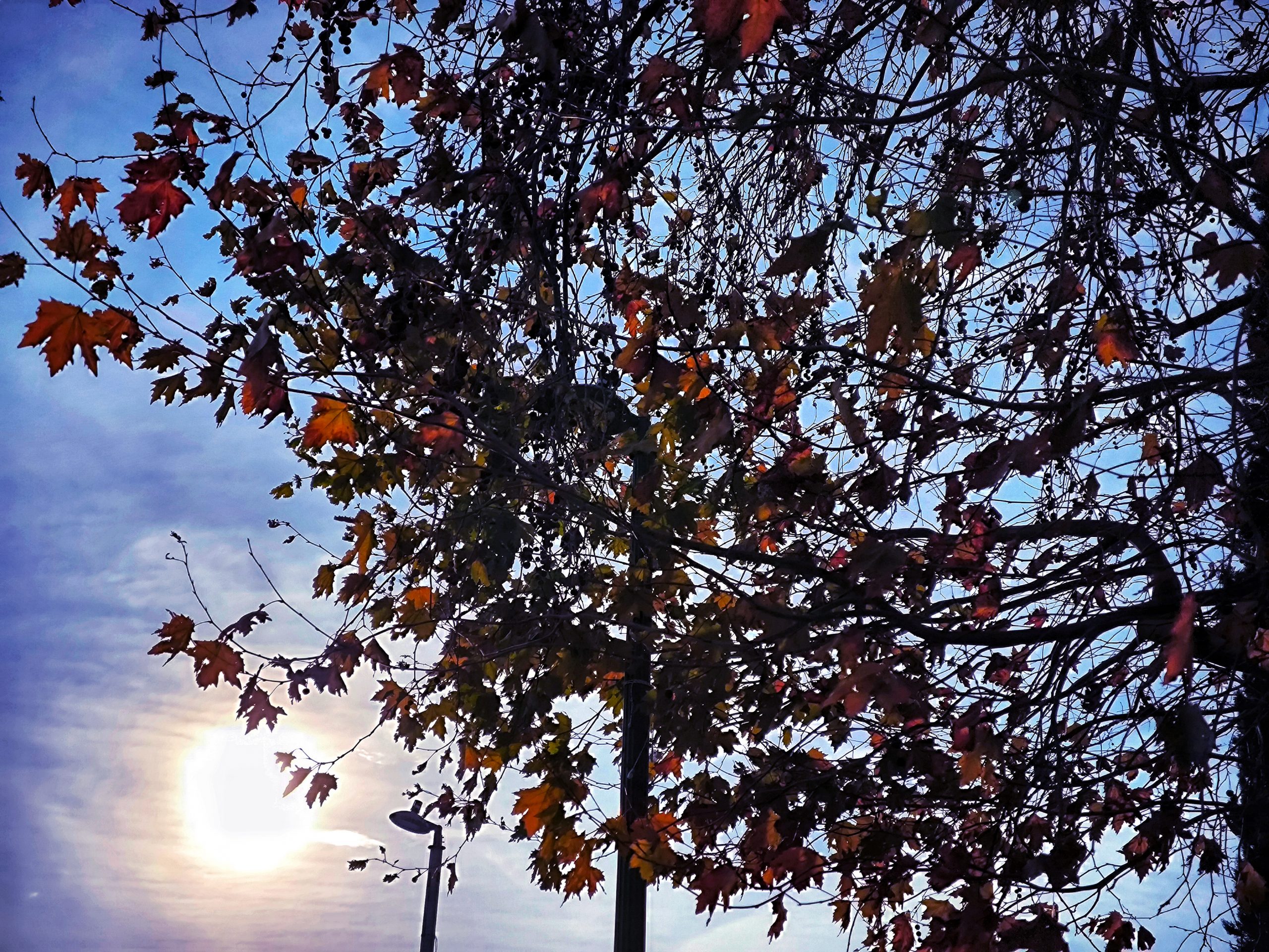 Athens Will Be Sunny, A Bit Cloudy on Tuesday