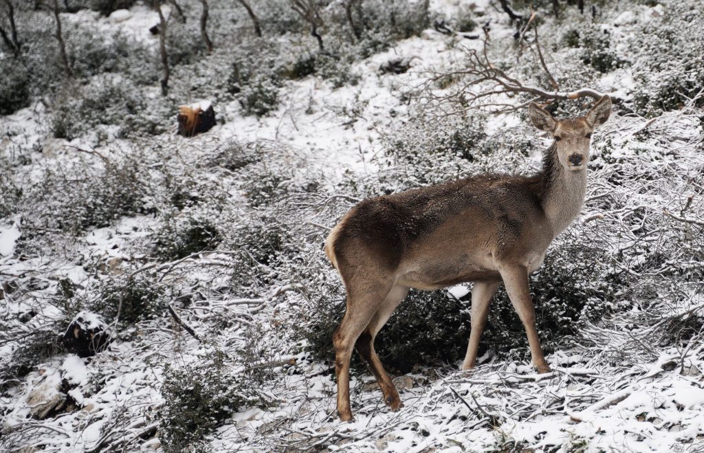 New Year Weather Outlook: Frost From New Year’s Eve