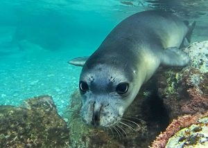 Alonnisos Among Top 10 Sustainable Tourism Destinations for 2027