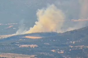 Fire Breaks Out in Ritsona, Chalkida (video)