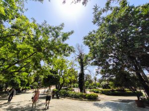 Warm, Slightly Moody Skies with a Hint of Dust on Thursday