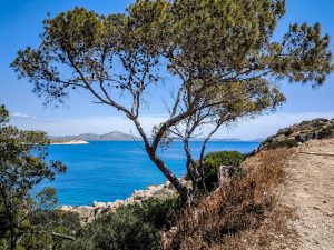 Morning Storms Clear the Way for a Bright, Breezy Day