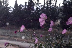 Clouds, Rain, Storms across Greece Thursday