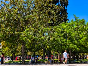 Monday Forecast: Sunshine with a Side of Showers