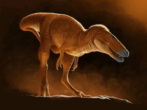 Scientists Discover Early Forerunner of T. rex in Mongolia