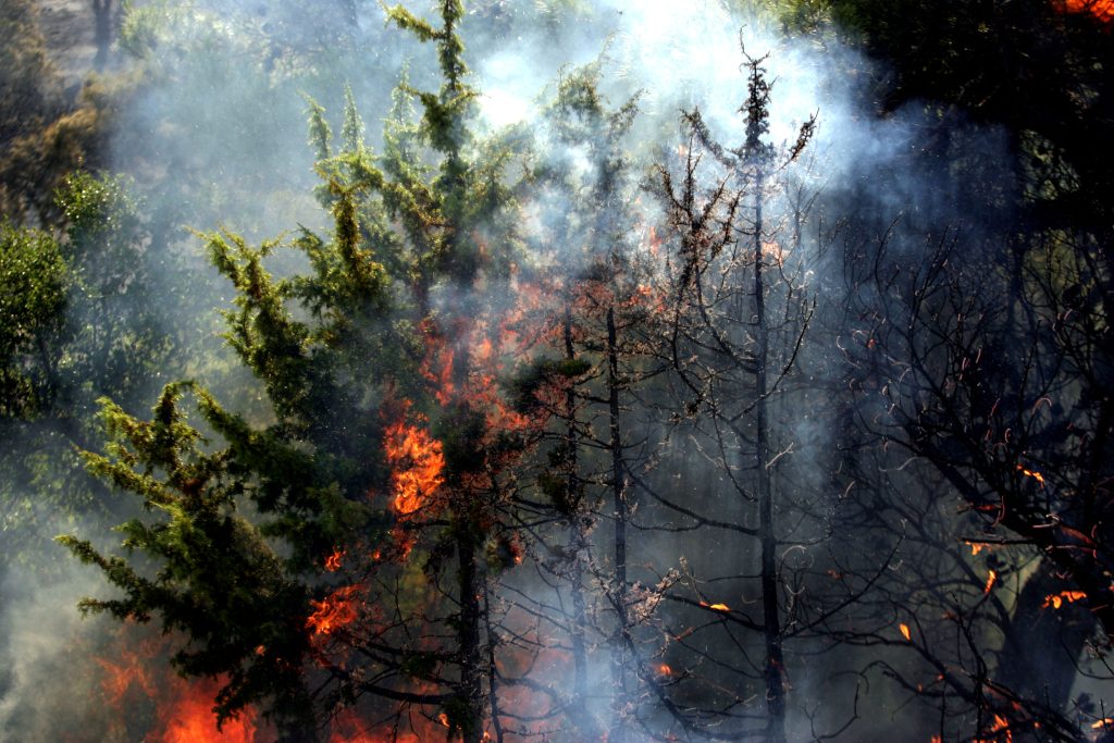 Wildfire on Mt Parnitha Under Partial Control