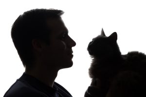 Thessaloniki Man Fined €50K for Brutally Killing Cat