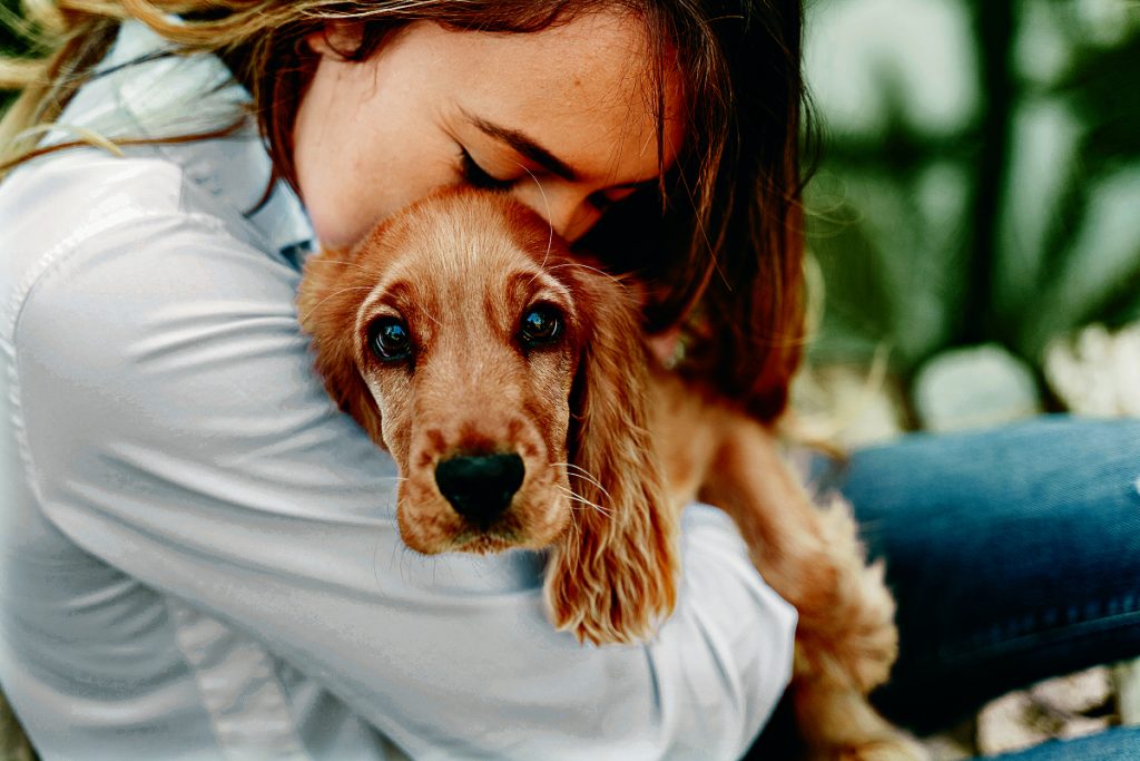 How to Protect Your Pets from Extreme Heat This Summer