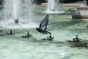 Extreme Heat Continues Across the Country