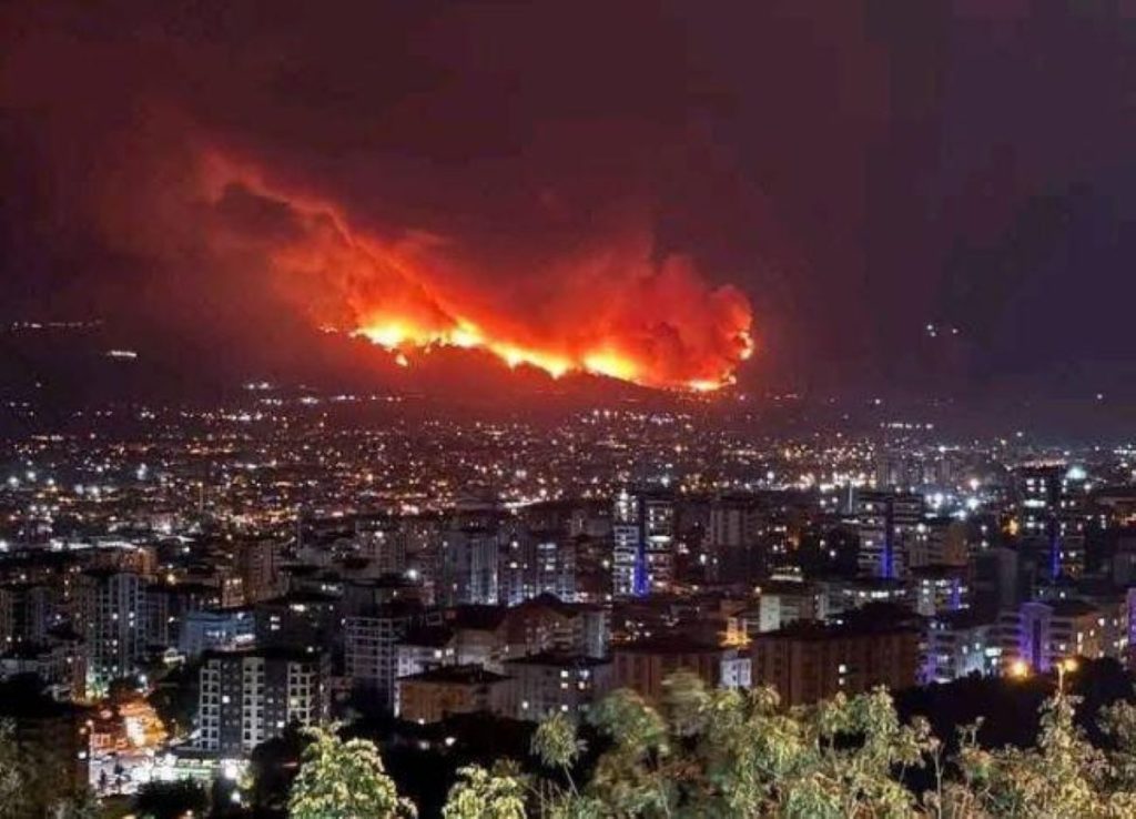 Turkey Battles Wildfires Amid Heatwave; Thousands Evacuated