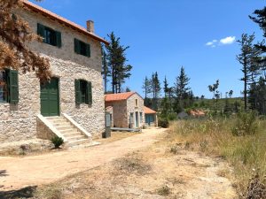 Tatoi Estate Redevelopment into Cultural Hub Advancing