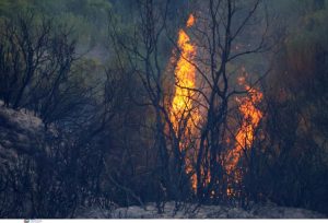 Wildfire Continues to Burn in Western Peloponnese