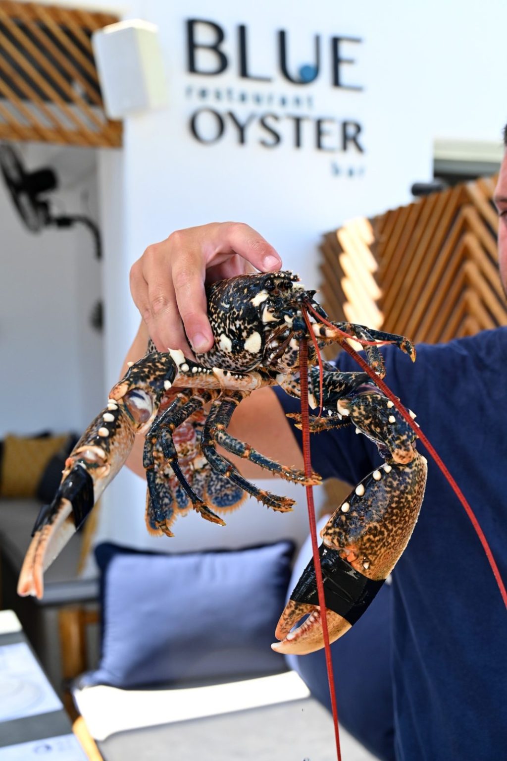 Gastronomy Cyclades Greece