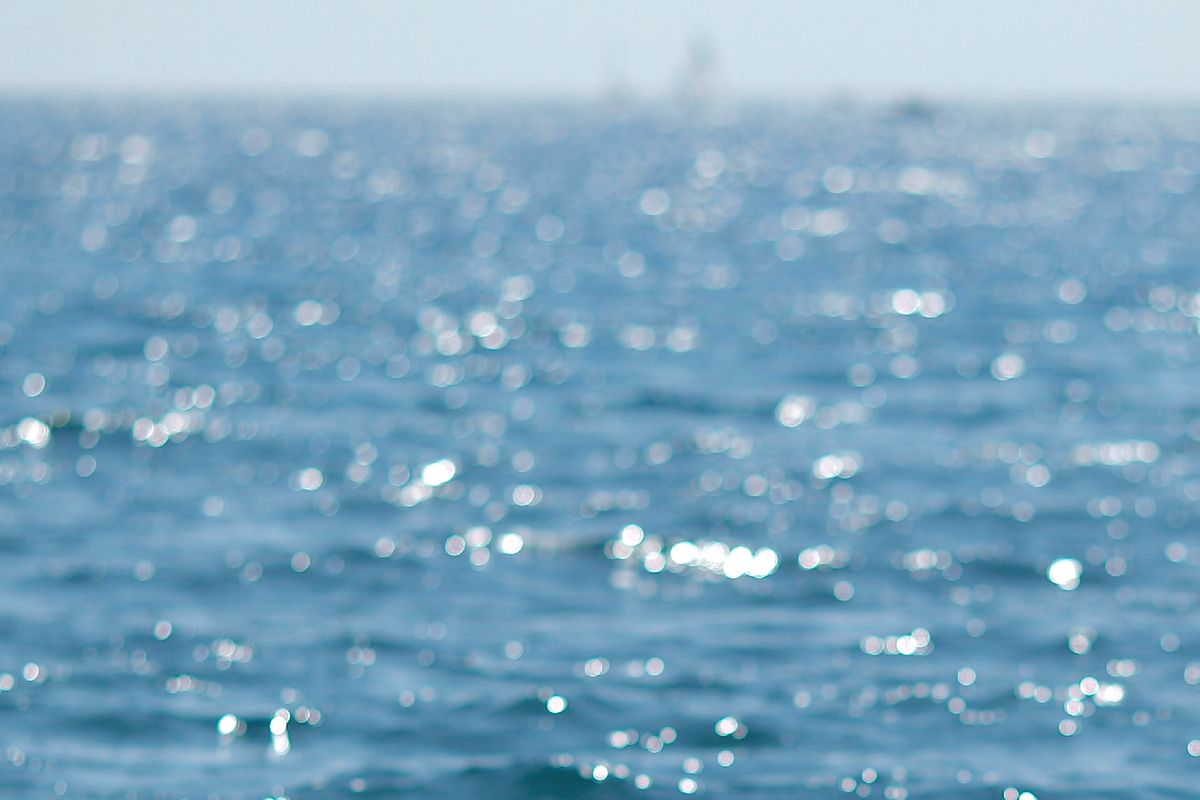 Pilot and Son Killed in Biplane Crash Off Mallorca Coast