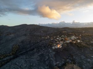 When Wildfires Destroy More Than Land