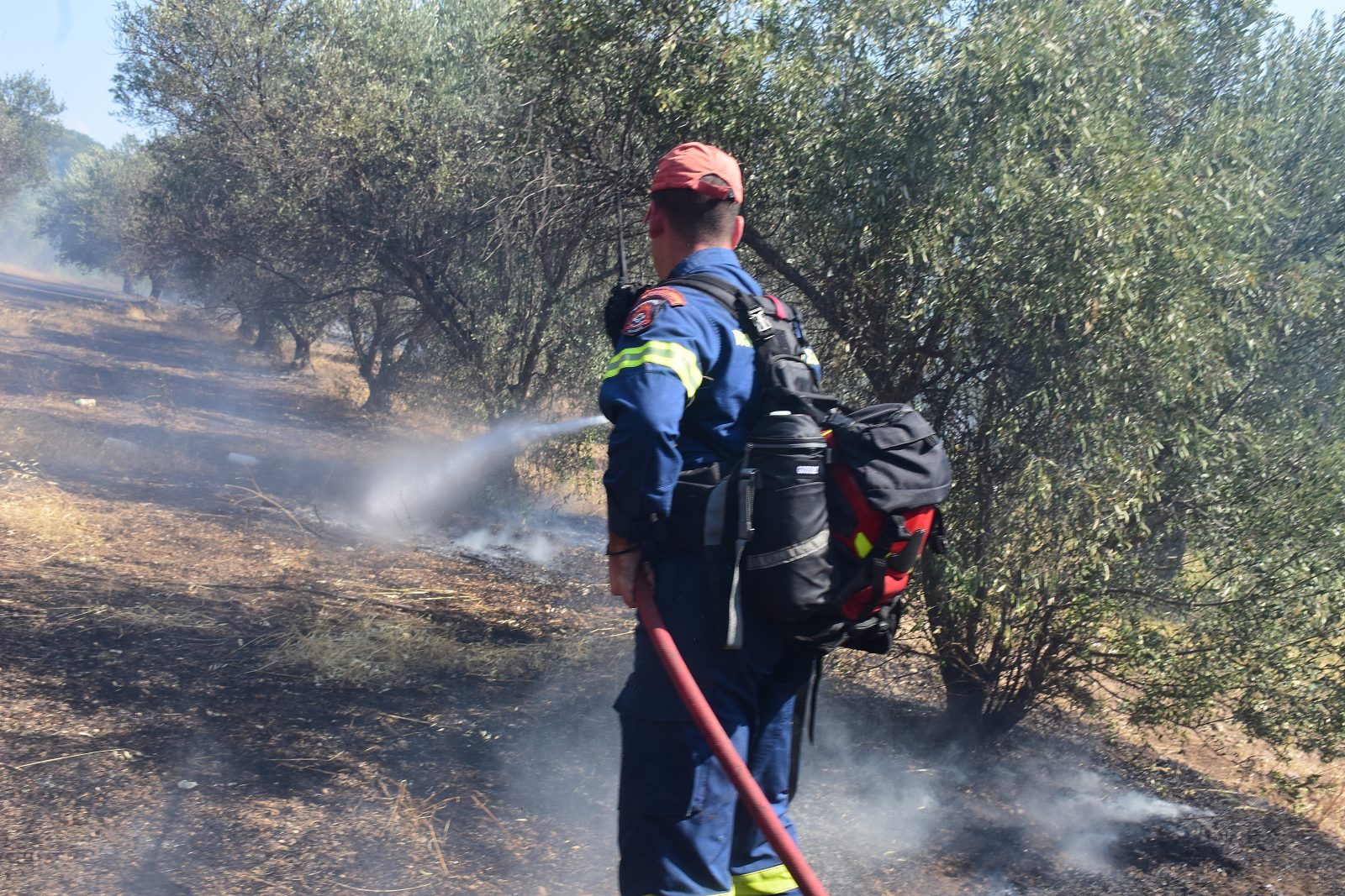 Wildfires Rage Across Athens