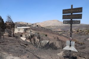 Fires South East of Athens Leave Scenes of Devastation