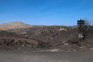 Deadly Eastern Attica Wildfire Laid Bare in Striking Satellite Images, Arrests Made Over Suspected Cause