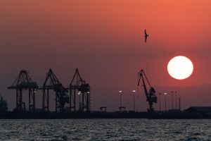 €5.5 Million Worth of Cocaine Seized in Thessaloniki Port Operation