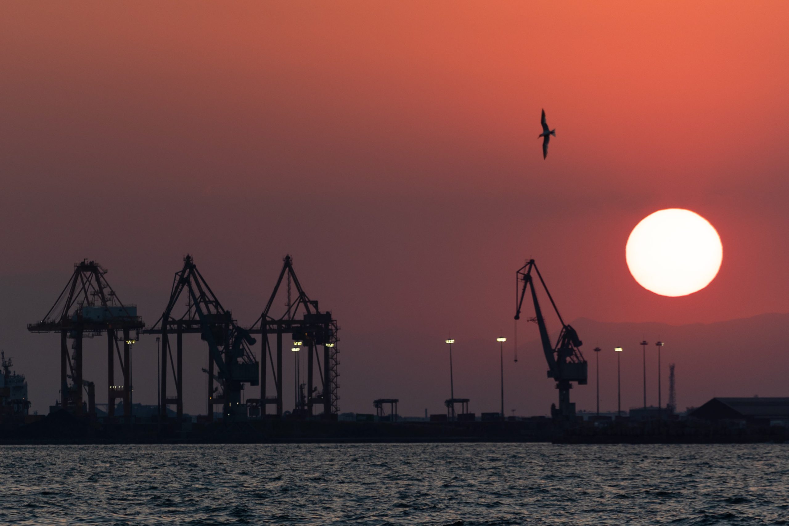 €5.5 Million Worth of Cocaine Seized in Thessaloniki Port Operation