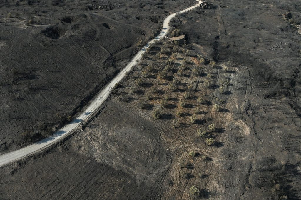 east attica wildfire