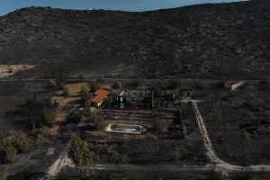 East Attica Wildfire Recovery Plan Announced