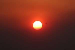 Extreme Wildfire Risk Issued for Ten Regions