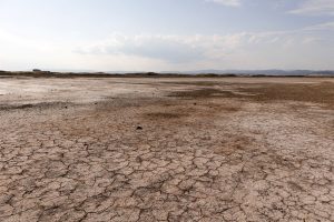 Severe Drought Affects Over Half of Europe in July